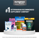 Nutramax Dasuquin with MSM Joint Health Supplement for Large Dogs - With Glucosamine MSM Chondroitin ASU Boswellia