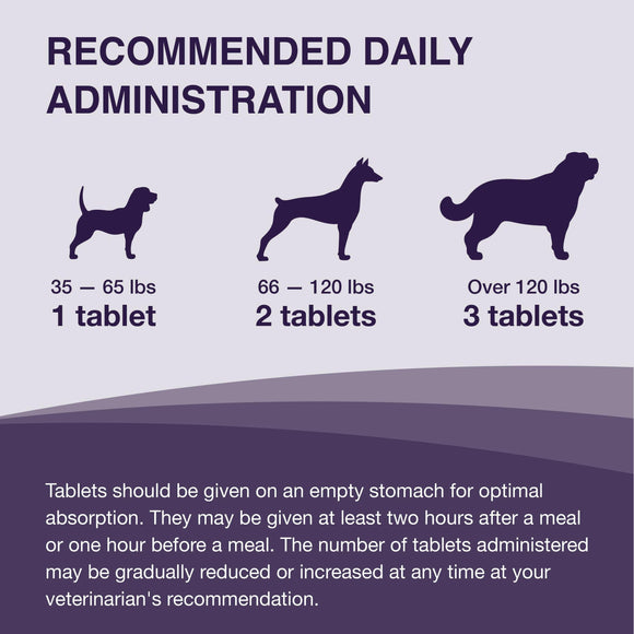 Denamarin for Large Dogs