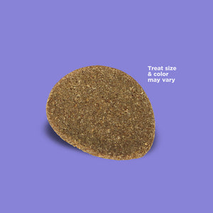 NutriSource Crispy Crispers Beef & Lamb Dog Treats (4 oz)