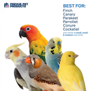 group of birds