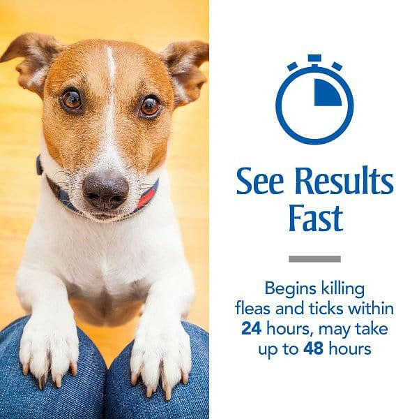 PetArmor Plus Flea & Tick Spot Treatment for Dogs, 23-44 lbs