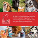 Plato Thinkes Real Lamb Recipe Sticks Dog Treats
