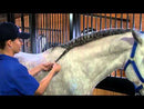Mane 'n Tail Spray 'n Braid for Horses-6