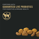 Purina Pro Plan Complete Essentials Chicken & Rice Formula Dry Cat Food