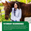 Ramard Total Tendon Repair Powder Horse Supplement (1.12 lb 30 Day Supply) - Horse Vitamins & Supplements 4