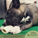 Redbarn Peanut Butter Filled Bone for Dogs (Peanut Butter)