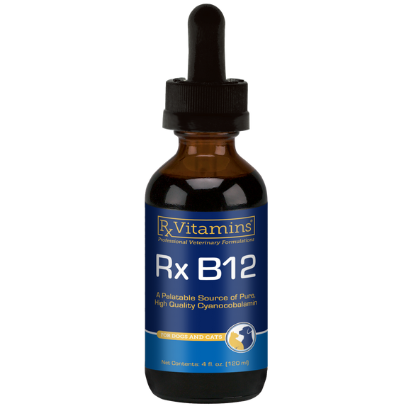 Rx Vitamins Rx B12 Liquid Digestive Supplement For Dogs and Cats (4 oz) - Dog & Cat Supplements & Vitamins 1