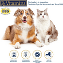 Rx Vitamins NutriFlex Joint Supplement for Dogs & Cats (90 chewtabs) - Dog & Cat Supplements & Vitamins 7