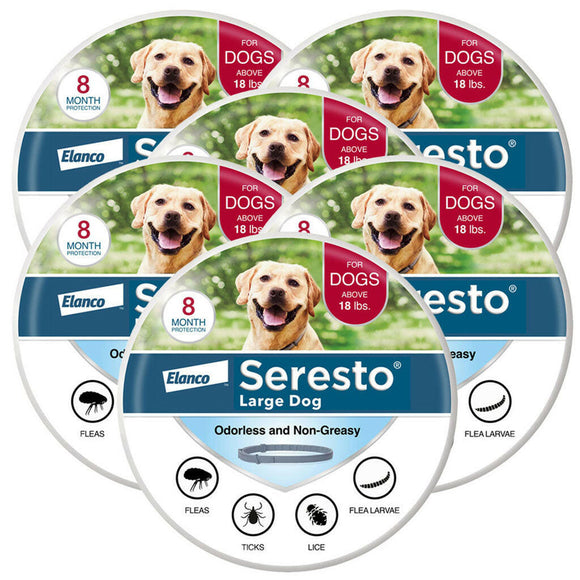 6pack serest