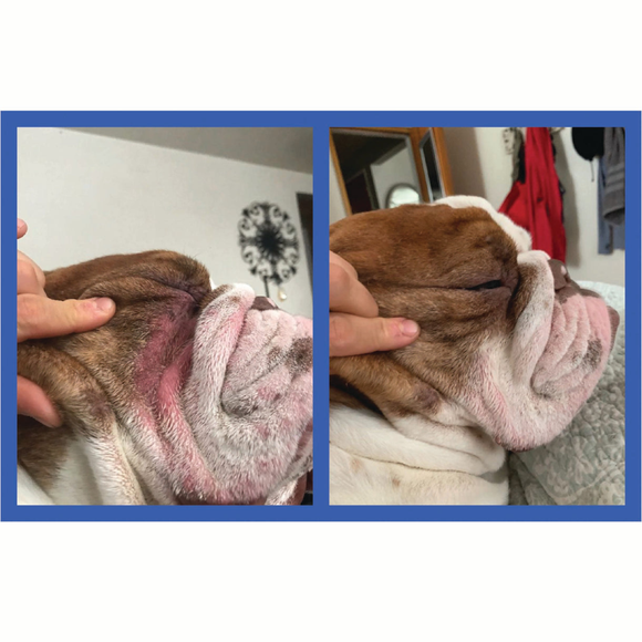 Apply the silicone tip lightly while spreading the paste to avoid discomfort