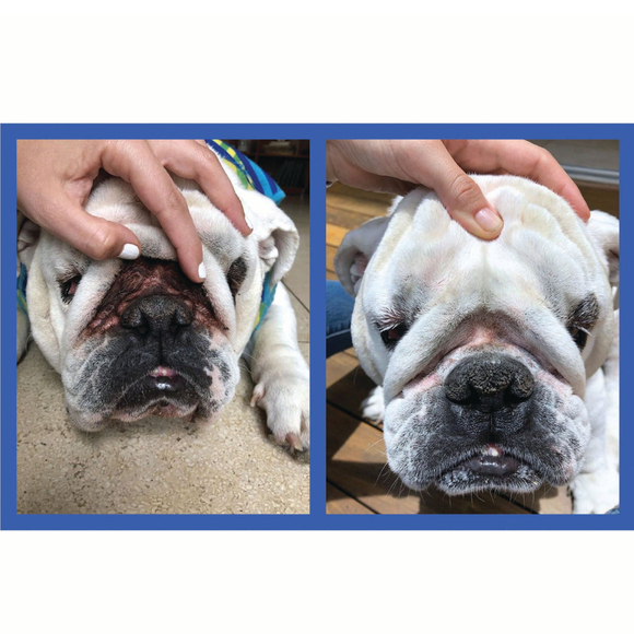 The applicator is made from soft BPA-free silicone that helps reduce the risk of scratching or irritating delicate areas such as facial wrinkles and tear stain zones.