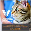 Tiki Cat Solutions Mousse Dental Care Chicken Recipe in Broth Wet Cat Food (2.4 oz x 12 pouches) - Cat Food 7