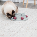 Trixie Cat Activity Pentagon Interactive Cat Toy - Cat Toys 4