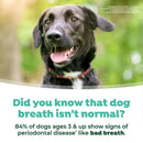 Tropiclean Fresh Breath Water Additive Plus Hip & Joint Support for Dogs - Dog Dental Care 4