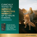 Ultimate Strength Healthy Hip & Joint Chews for Dogs Bacon Flavor
