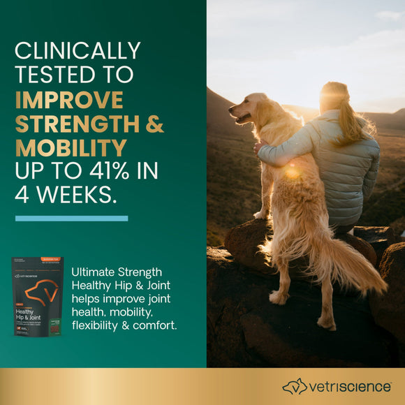 Ultimate Strength Healthy Hip & Joint Chews for Dogs Peanut Butter Flavor