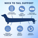 Under The Weather Disc & Spine Vet Strength Support for Dogs (60 soft chews)
