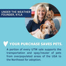 Under the Weather L-Lysine Support Powder for Cats