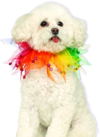 Pets Collar - Various Colors - Small/Medium / Rainbow - Pet Costumes & Accessories 2