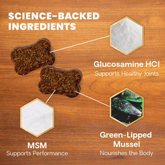 Healthy Hip & Joint Chews for Dogs Chicken Flavor