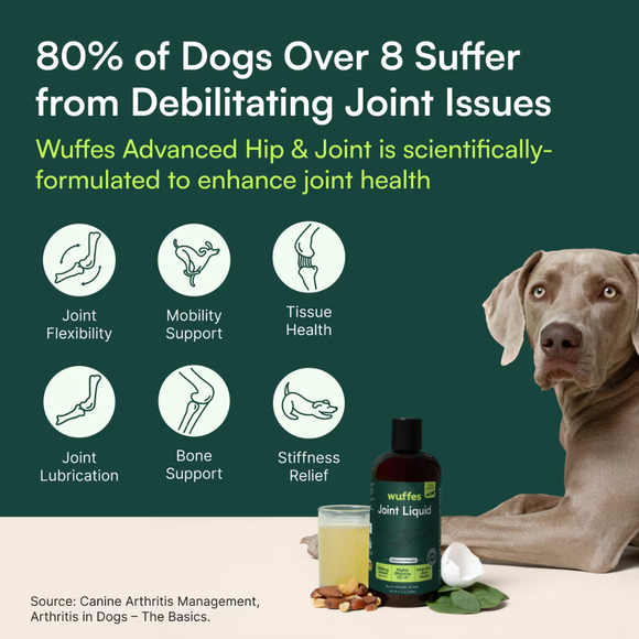 Wuffes Joint Liquid for Dogs (8 oz) - Dog Vitamins & Supplements 4