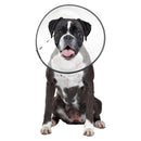 ZenPet E-Clear Plastic Recovery Collar for Dogs & Cats X-LG