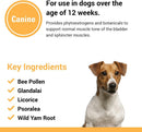Vet Classics Incontinence for Dogs (120 Chew Tabs) - 5