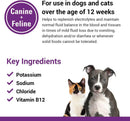 Vet Classics Pet-A-Lyte Oral Electrolyte Solution for Dogs & Cats (32 oz) - 4