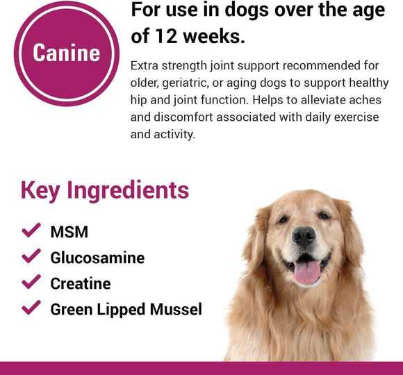 Re-Flex Ultra Strength Joint Support For Dogs (120 Chew Tabs) - 5