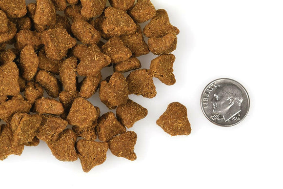 Fromm Four Star Zealambder Recipe Dog Food - Dog Food 2